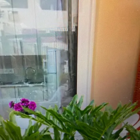 Apartment Holiday Lejlighed *